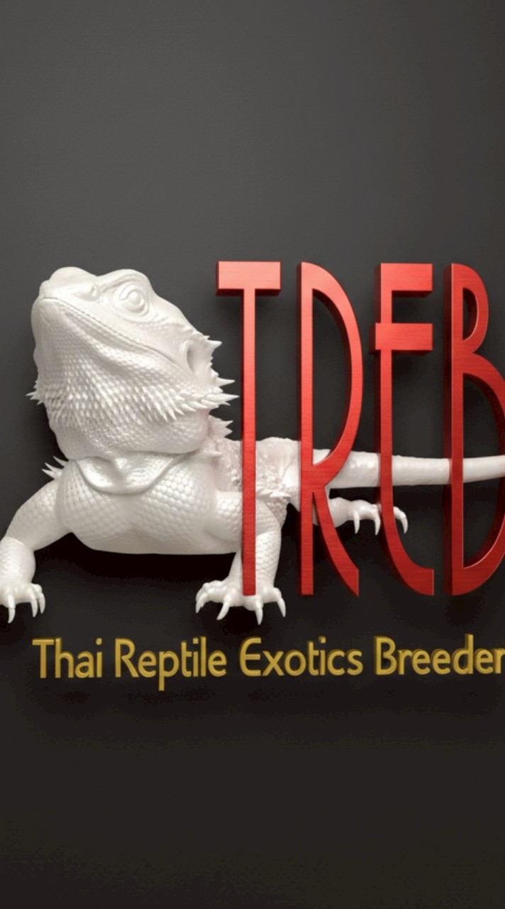 Exotics markets ซื้อขายแลกเปลี่ยน ประมูลสัตว์ by T.R.E.B