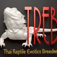 Exotics markets ซื้อขายแลกเปลี่ยน ประมูลสัตว์ by T.R.E.B