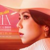 鄧紫棋,盧廣仲,IVE韓團.演唱會讓票區 有加有票！