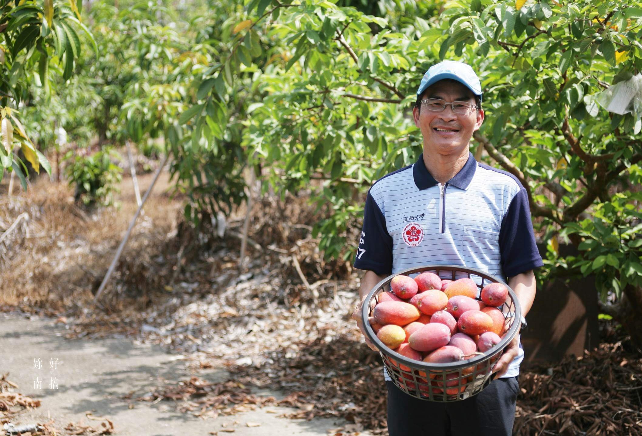 玉井景點-04-妳好南搞