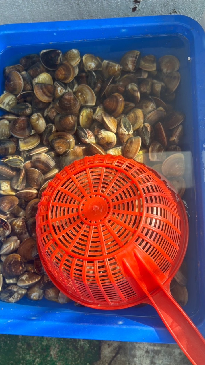 宗宸鮮魚行（嘉義魚市場埤竹路52號）