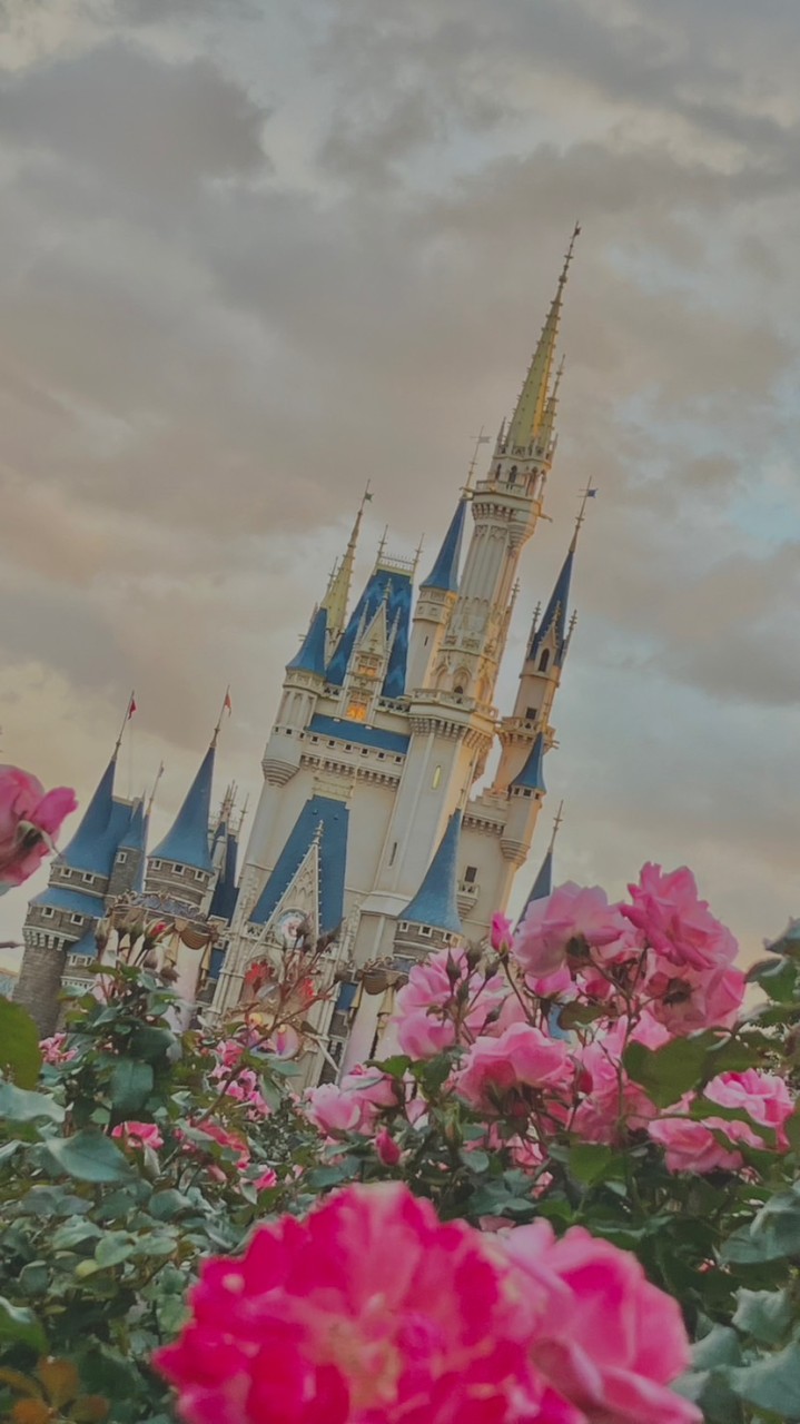ディズニーゆるく語りませんか〜🏰💭(小〜高限定)