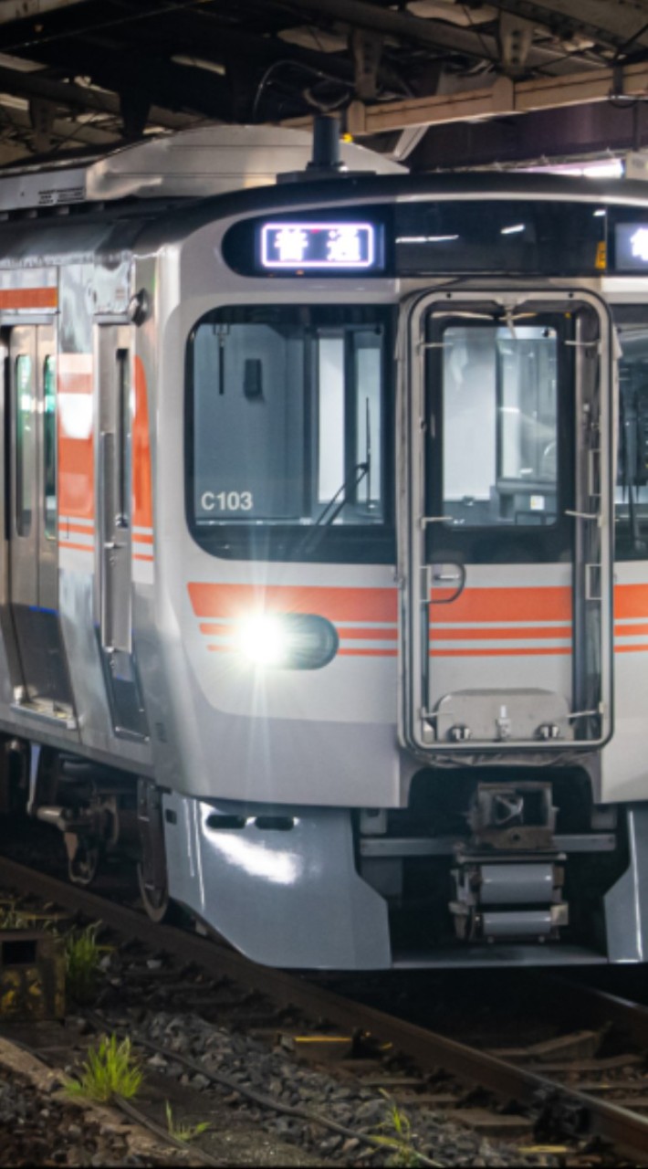 315系3000番台好きの集い。