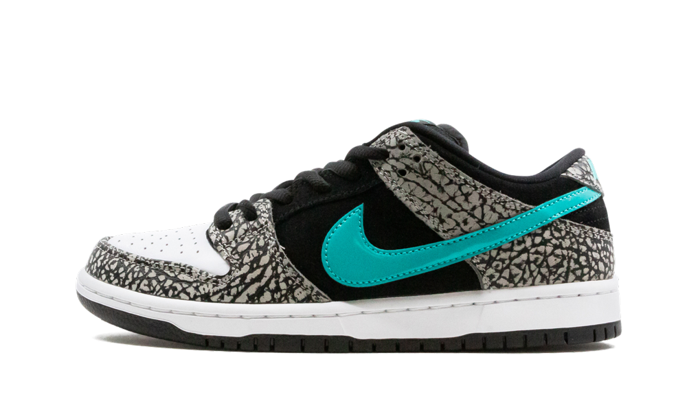 The Nike SB Dunk Low Pro 