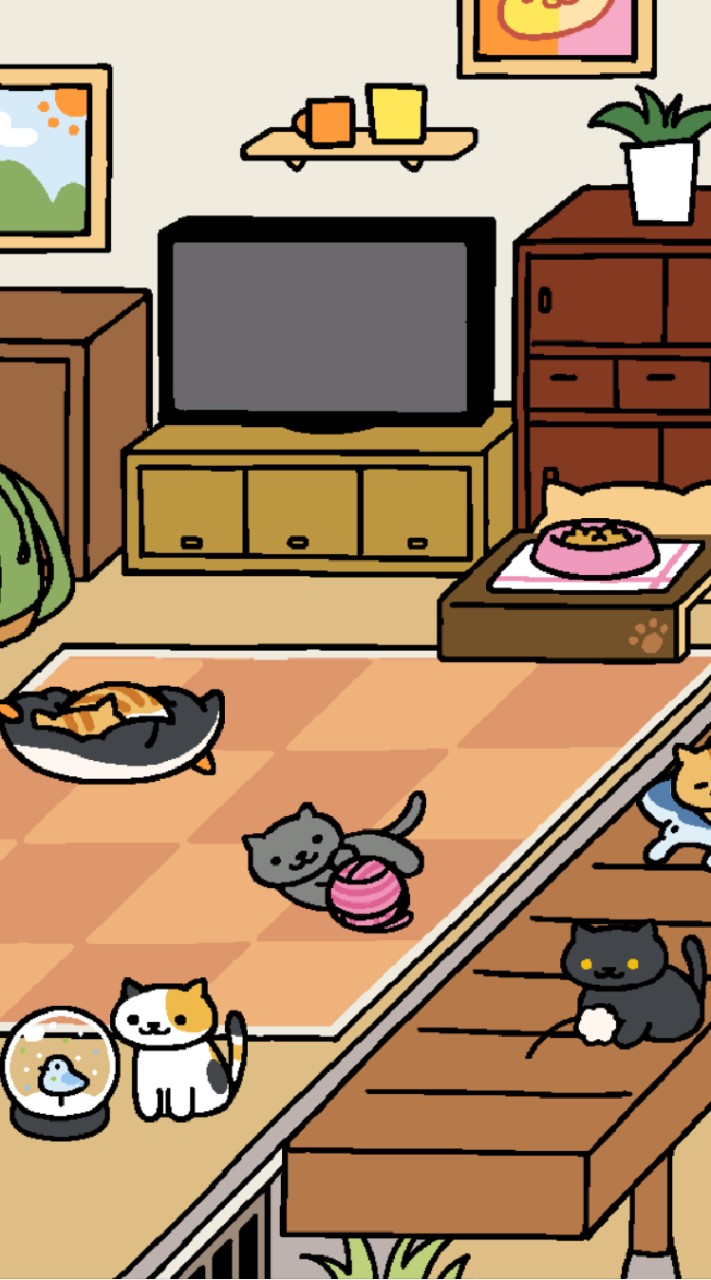 คุยเรื่องอะไรก็ได้🐈