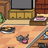 คุยเรื่องอะไรก็ได้🐈