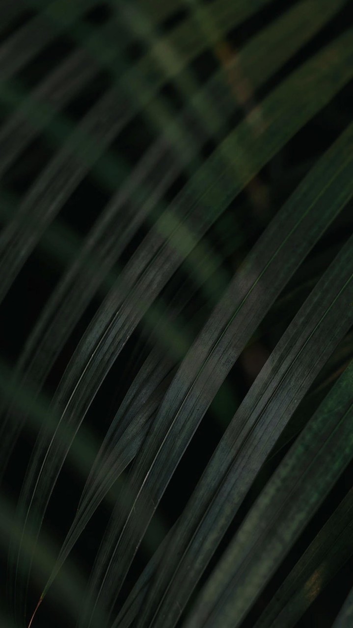 📀 คลับคนรักเสียงเพลง 💿