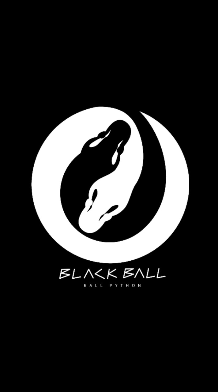Black Ball 🎱 Ballpython 🐍 งูบอล