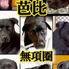 協尋北區毛小孩