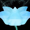 💎無限しりとり🦋