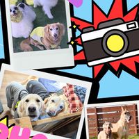 モエレドッグラン写真部