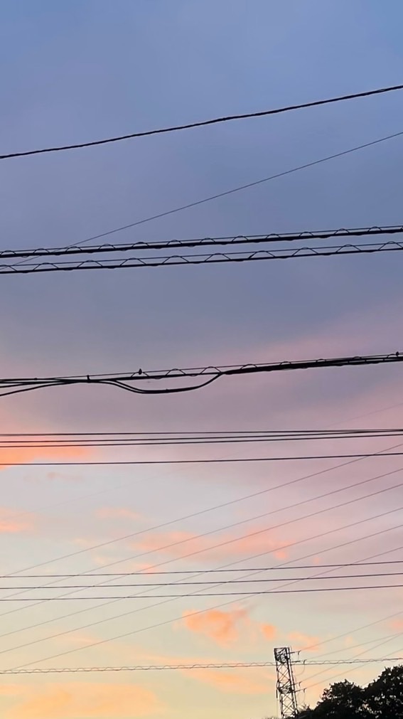 歌審査する部屋！！