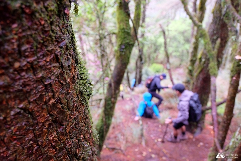 山女孩Melissa_羅馬縱走_羅葉尾山_馬武佐野郡山1124.JPG