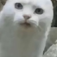 醉心戀夏（重生