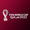 W杯日本代表応援会