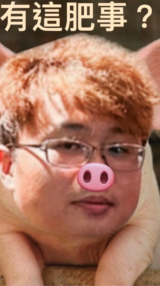 豬豬吵擊敗