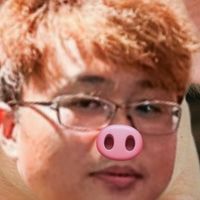 豬豬吵擊敗