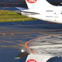 【既卒】JAL客室乗務職 内定者