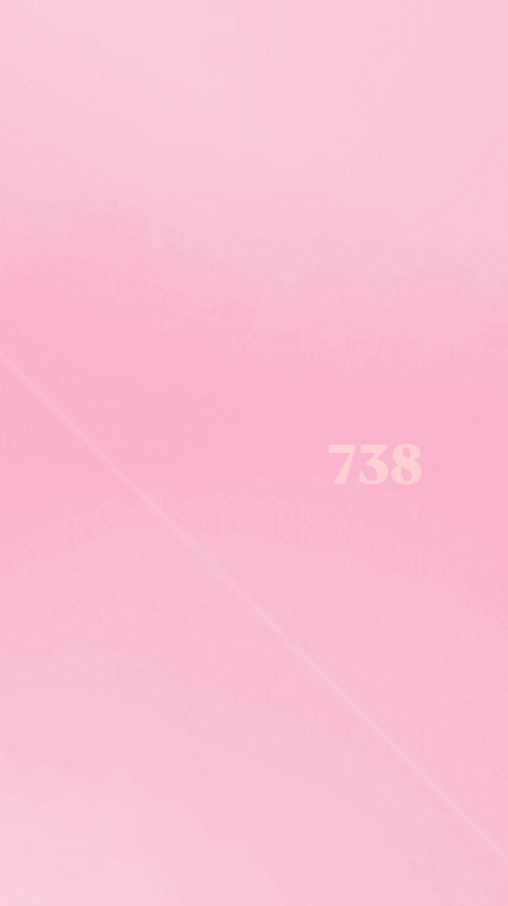 738換班群組✈️