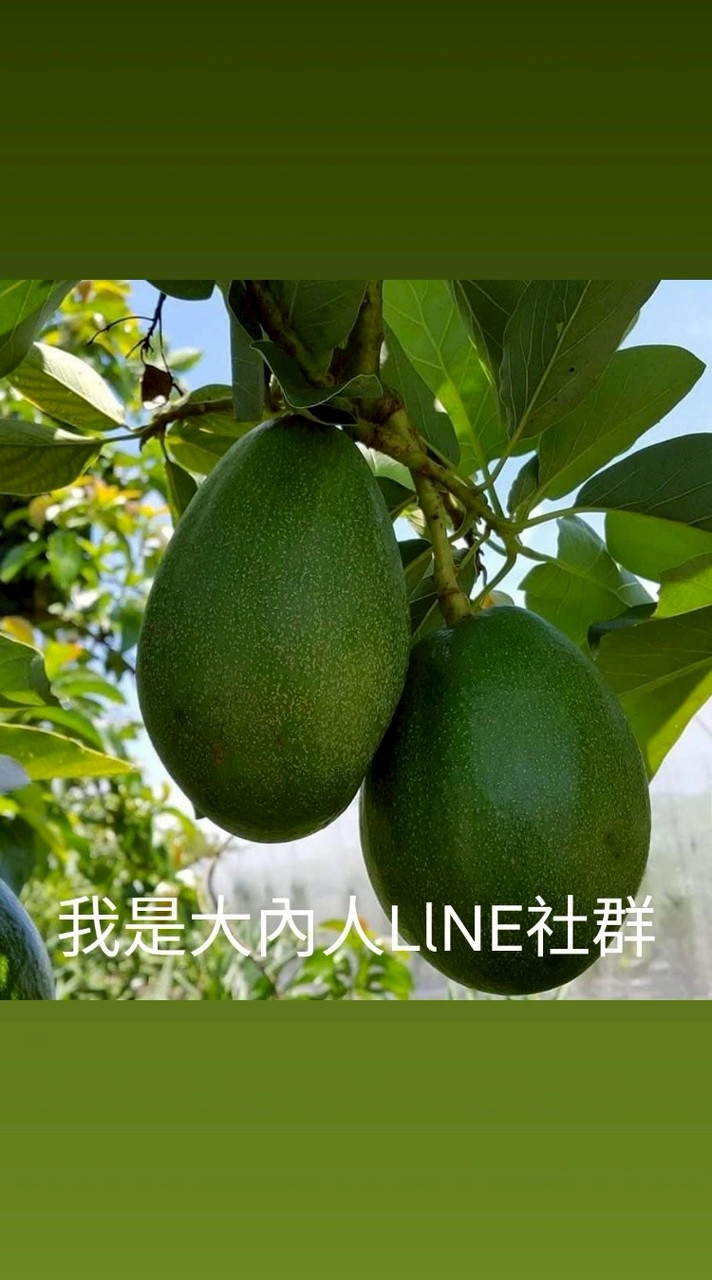 我是大內人