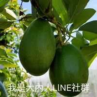我是大內人