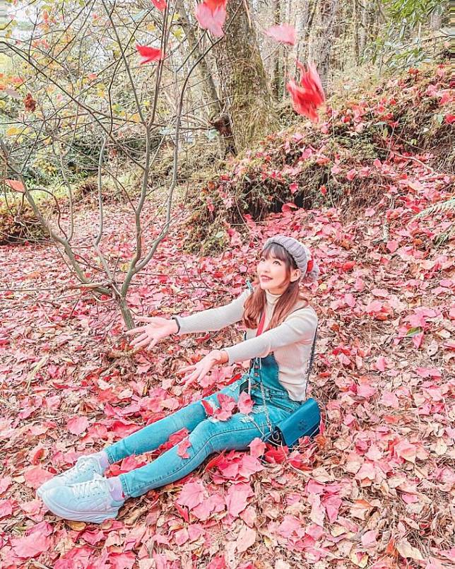 圖片授權：IG @fatpig520