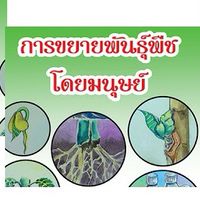 การขยายพันธุ์พืช ม.4\2-3