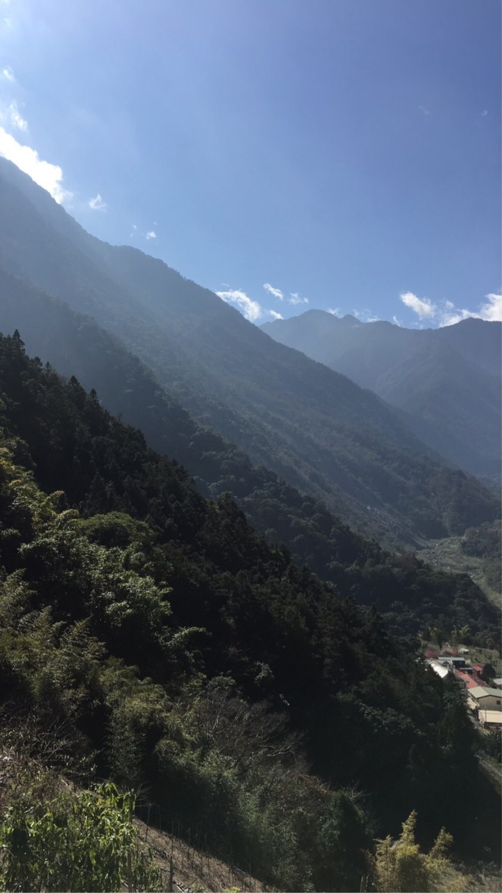 山中初心者公布欄