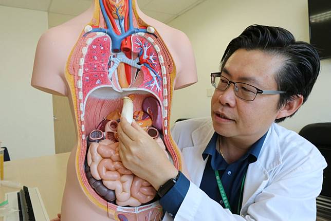 食道夾出3公分完整杏鮑菇！  他暴瘦一吃東西就吐全因這病