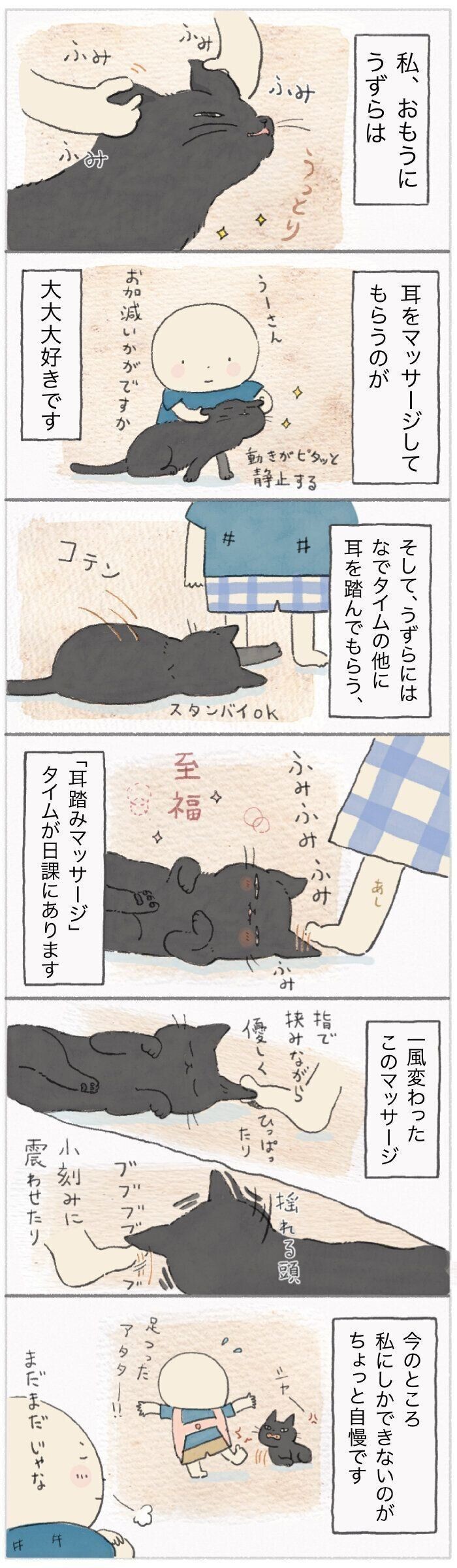 知っておいて 猫がお尻を高くあげるときの心理2つ