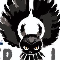 OWLSER LUMINOSO