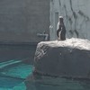 MBTI静かに語りたい方おいで…！