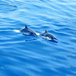 龜山海域的烏石港距離 北台灣最近， 特別適合週休二日全家旅遊