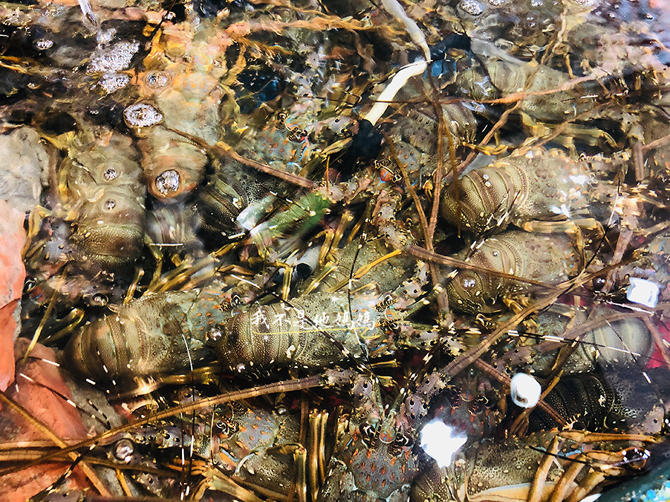 望海亭活海鮮,萬里美食,萬里海鮮餐廳,萬里活海鮮,野柳美食,野柳海鮮,野柳餐廳,北海岸一日遊,老梅,老梅石槽,北海岸景點,北海岸吃海鮮,南子吝步道