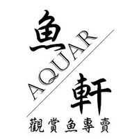 魚軒水族『台中在地34年老店，金魚、錦鯉、孔雀魚…各種多樣魚種』