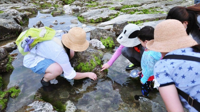 基隆八斗子 潮境公園 生態觀察一日遊