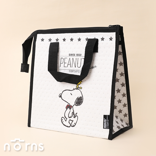 日貨Skater保冷手提袋FBC1 Snoopy系列- Norns 日本進口 史努比 保冷袋 便當袋 保溫袋