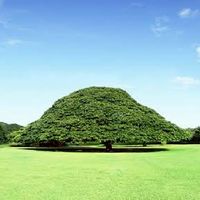 【6年目だよ！】1976年うまれのワイワイROOM