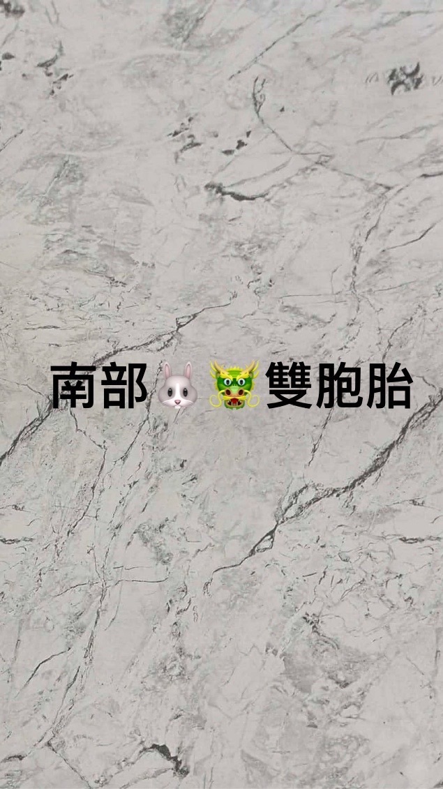 兔龍寶雙胞胎（南部地區）