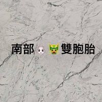 兔龍寶雙胞胎（南部地區）