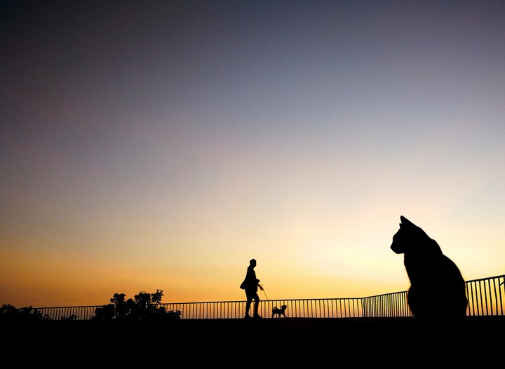 光陰晨曦首獎：《駐足與路過》吳飛霖
