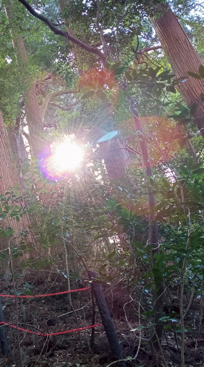 ⛩️開運レインボー🌈マルシェ 3月7日