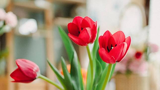 21年6月 運勢最好與最差星座排行 靈匣網 Line Today