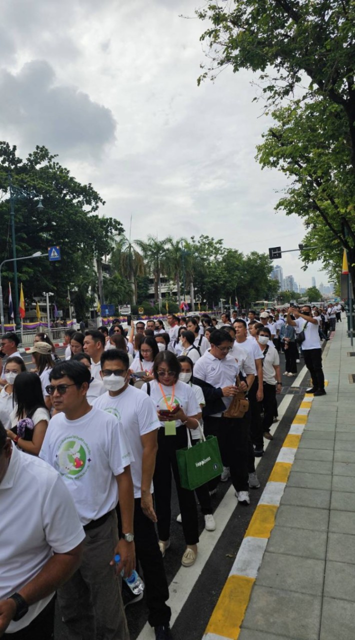 พิราบขาวคนท้องถิ่น