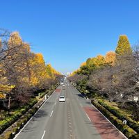 国立市周辺✨ママさん集合！情報交換しましょう