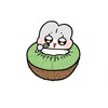帥🈹妹子俱樂部🫰🏻/女帝152ㄉ尛後宮^^