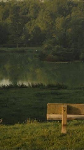 ☆*:.｡. oคุยเล่นo .｡.:*☆