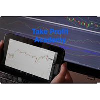 Take Profit Academy