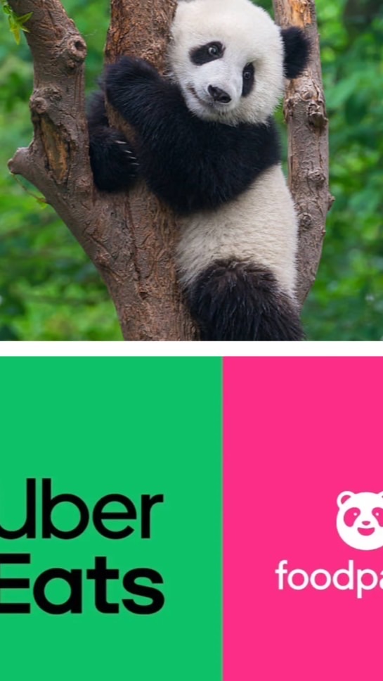 讚拉屏東-UberEats/FoodPanda/閒聊