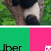 讚拉屏東-UberEats/FoodPanda/閒聊